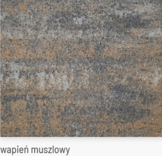 Kostka brukowa Vivo gr.8cm, wapień dewoński, muszlowy